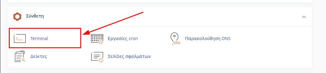 Επιλογή Terminal του cPanel.