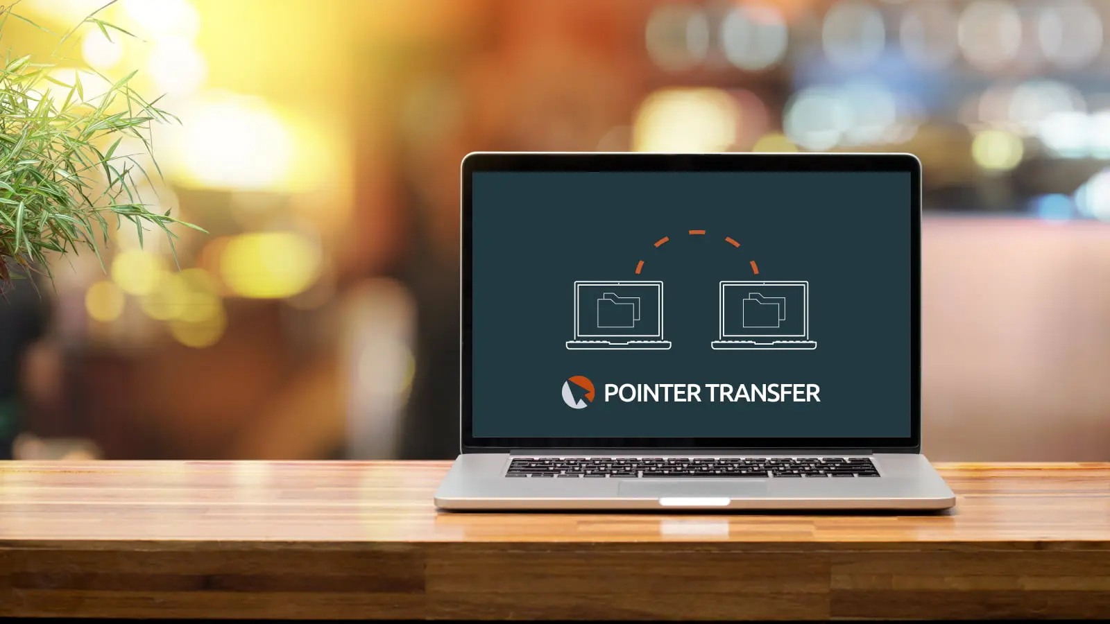 site trasnfer pointer